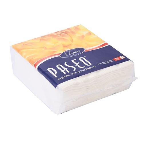 b2. PASEO PAPER NAPKIN 23X23CM 100 PULLS